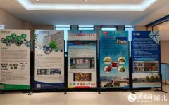 武汉勾勒“AI+农业”立异全景图